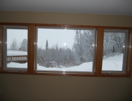 Window and Door Replacements